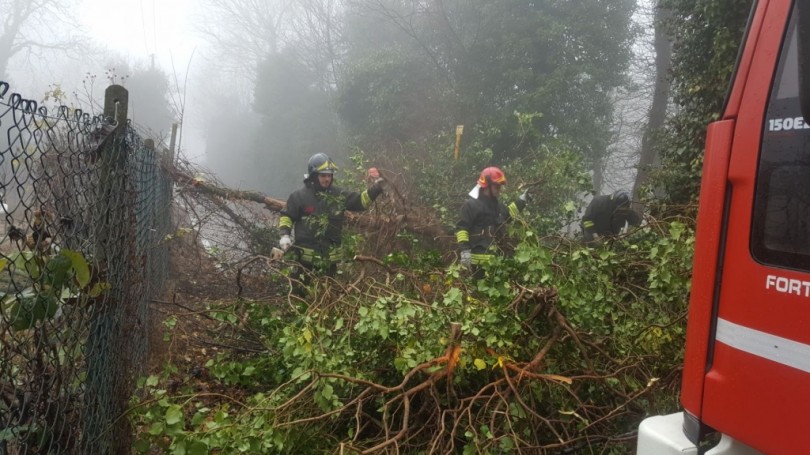 Salvarono anziano pensionato rimasto bloccato nel fango. Il grazie dei suoi famigliari